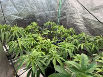 E9D972BE-1119-4672-80B8-F91CF132CBBD