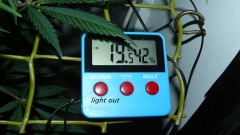 drobes light out! 022