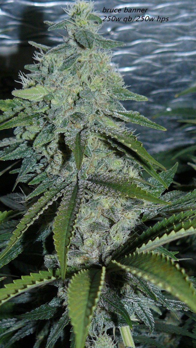 drobes light out! 030