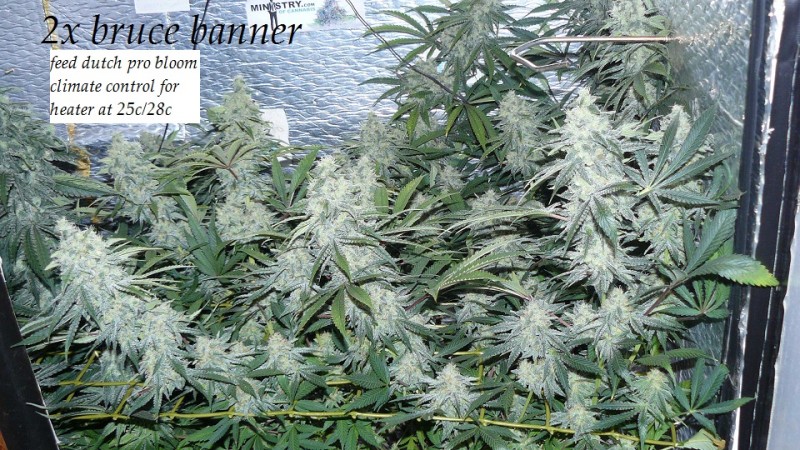 drobes light out! 037