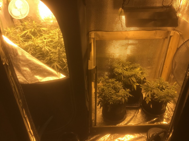 643F7F74-9641-4EC4-9EA3-80ECC6C85DFB