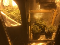 643F7F74-9641-4EC4-9EA3-80ECC6C85DFB