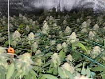 21F68069-430C-46A5-B0A2-CAAB52EA5332