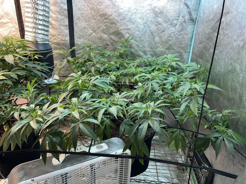 E61E635B-E2C8-429F-8586-2458EF3181FF