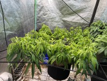 47ECD422-23C4-4B36-AECD-DAD65B71B4BE