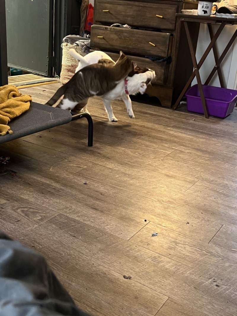 C4C3D047-C502-4568-8FE0-026C12DAA163