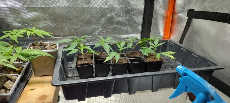 IMG_20230111_162738121_HDR