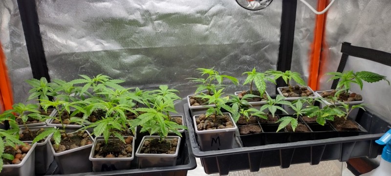 IMG_20230112_133330413_HDR