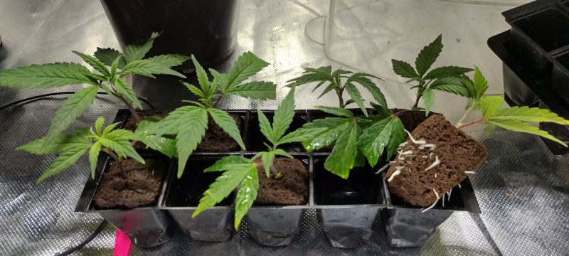 IMG_20230112_133029731_HDR