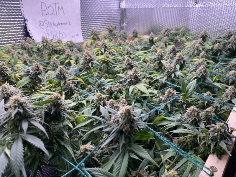 914F87FB-647C-4BD2-9F96-890F42C9A283