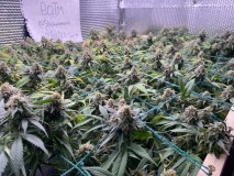 914F87FB-647C-4BD2-9F96-890F42C9A283