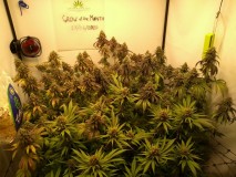 IMG_20200628_135904009