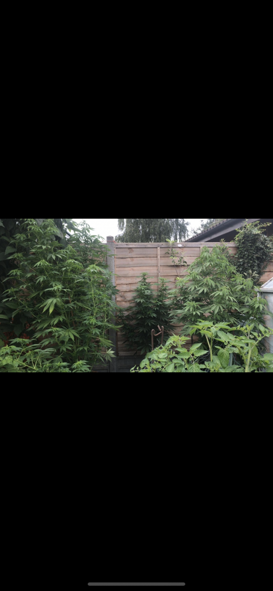 CD433865-E0F8-4F19-99FB-9F2F97047351