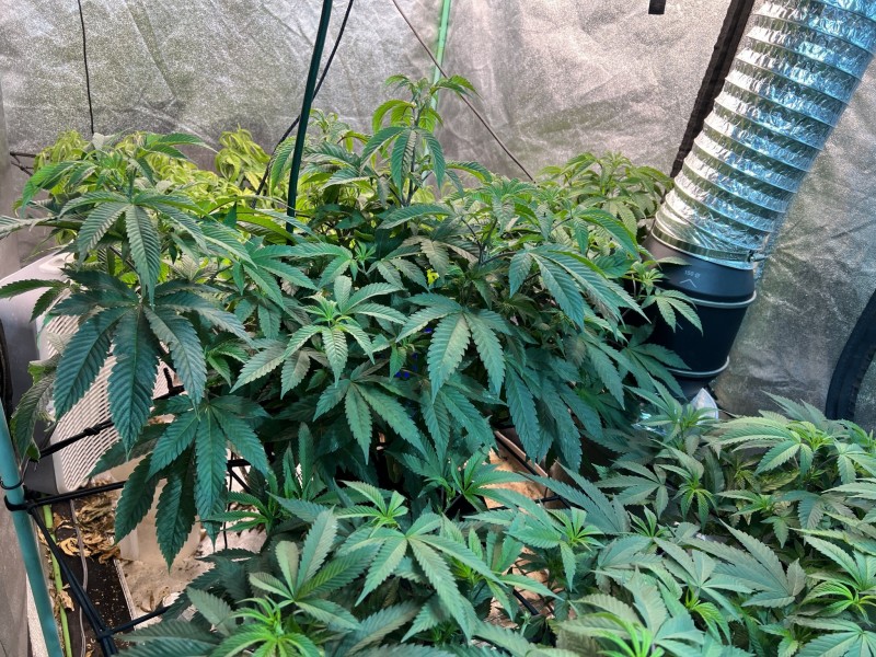 96FEBC43-58D8-429D-8356-6F95EBBC6642