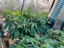 96FEBC43-58D8-429D-8356-6F95EBBC6642