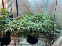 3DEBD9D9-6066-4749-AB0A-AD464B4AA22F