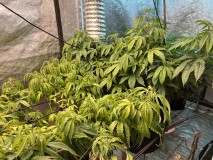 D1781DEA-2DEB-4937-B8F4-9F5AA16EA93E