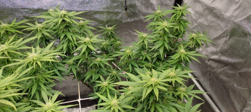 IMG_20230113_194634028_HDR