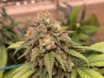 BFD5B698-9B90-4766-ACC5-E350A0543E9D