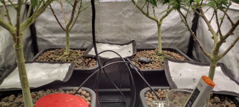 IMG_20230114_192156242_HDR