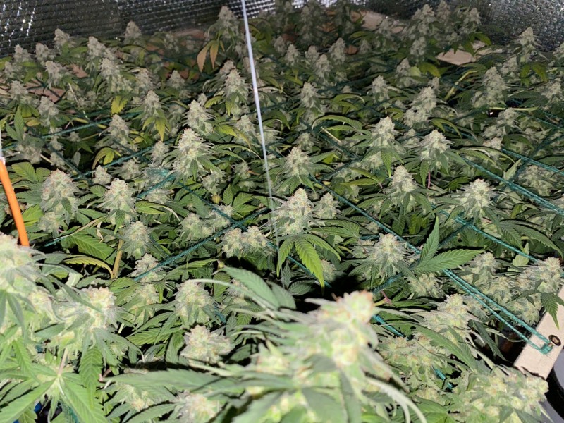 D31C826E-7F10-4A6C-A3A3-93A14B928FE6