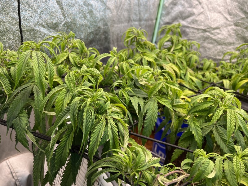 CEF67BAC-5D15-4AE7-A0D3-7205883C6B66