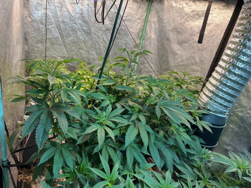 055E4410-41B6-4F1B-AC69-8EE15567D8EC