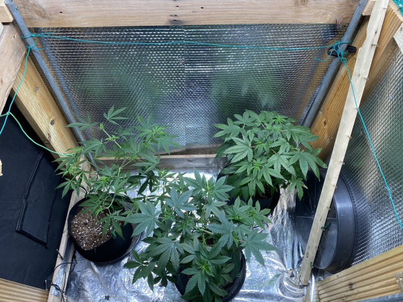 6A22FA75-1A69-432D-94E8-E1C893BBE7D5