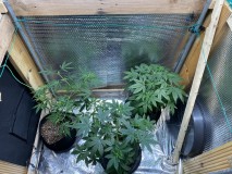 6A22FA75-1A69-432D-94E8-E1C893BBE7D5