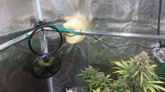 16738653612067881801410154678235