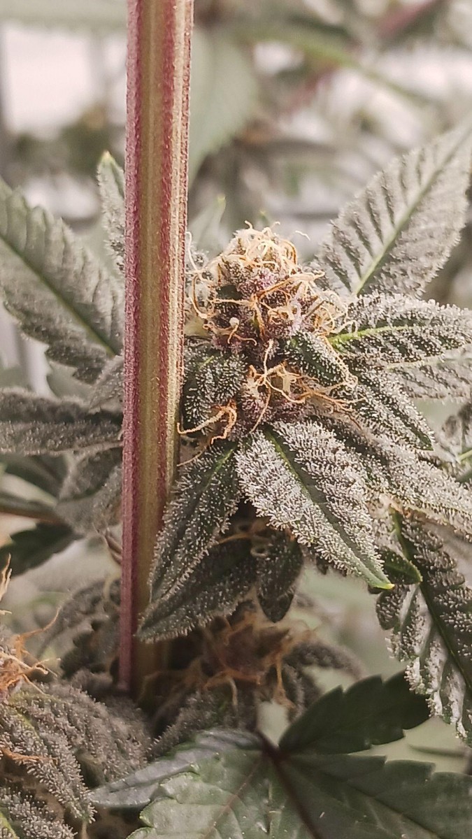 signal-2023-01-14-10-40-20-244