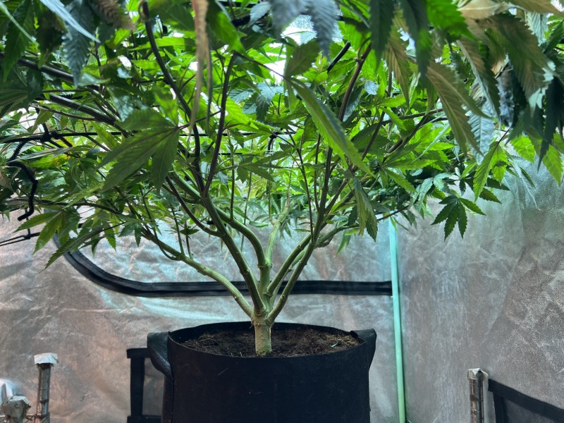 235A398D-9925-4160-AB30-E753F13EAAD5