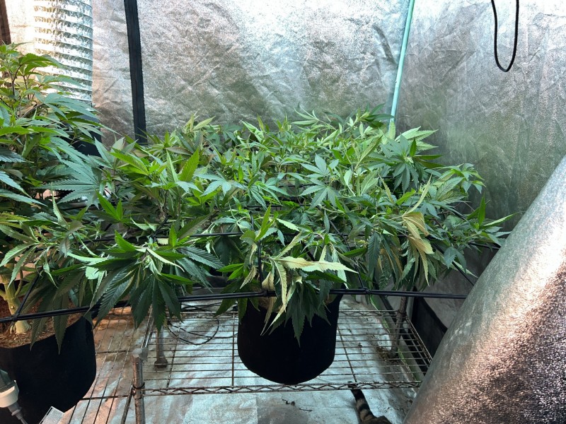 0564A0C2-DBA0-43B8-849B-2D81AD1414C3