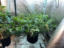 0564A0C2-DBA0-43B8-849B-2D81AD1414C3