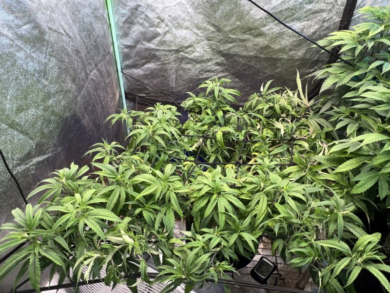 5C86F70A-4641-4D90-8436-168804DBBCEB