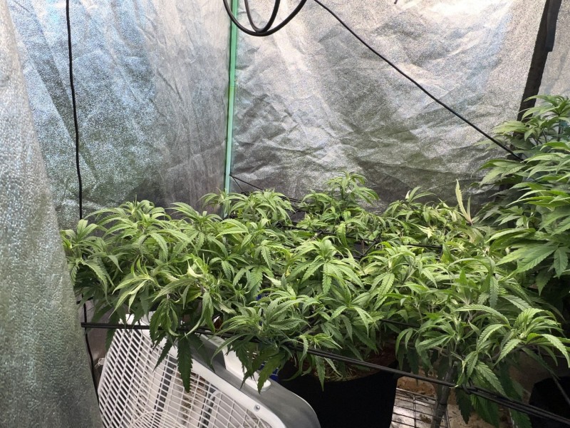 13BF0E38-32CD-4E4D-BC4B-302C7B0A3331