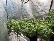 13BF0E38-32CD-4E4D-BC4B-302C7B0A3331