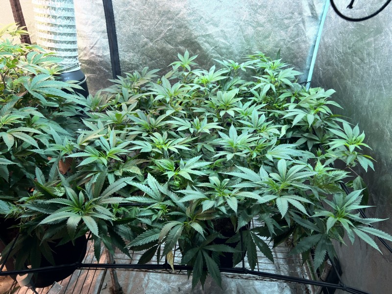 A9F87368-33AE-4659-8EE6-8F787EDB16B7