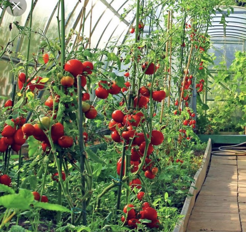 784DCABF-9273-4AC6-BA4C-11EB03B41FE2