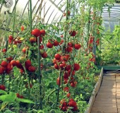 784DCABF-9273-4AC6-BA4C-11EB03B41FE2