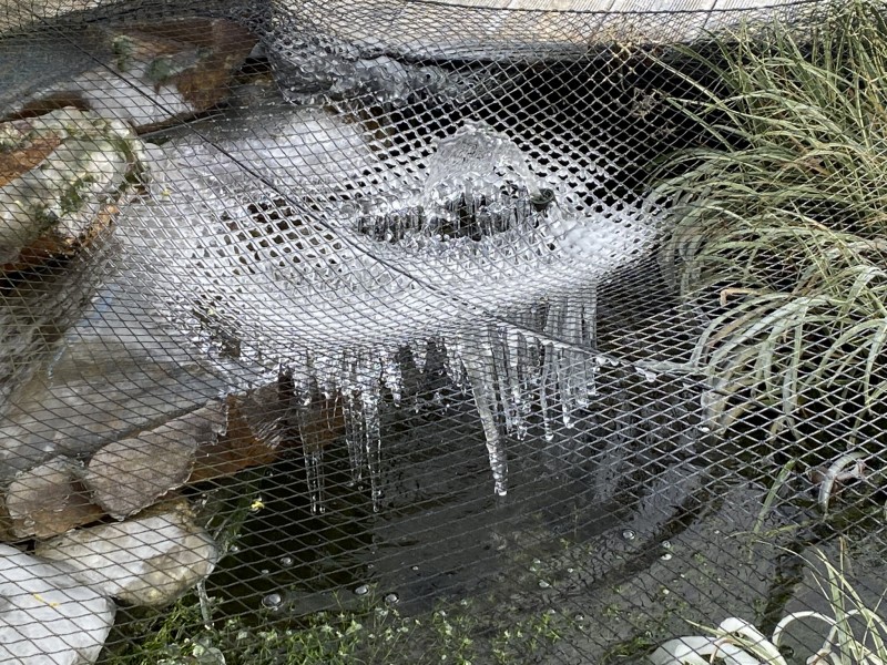 3456AB41-65A6-457C-B9EC-2321B2095876