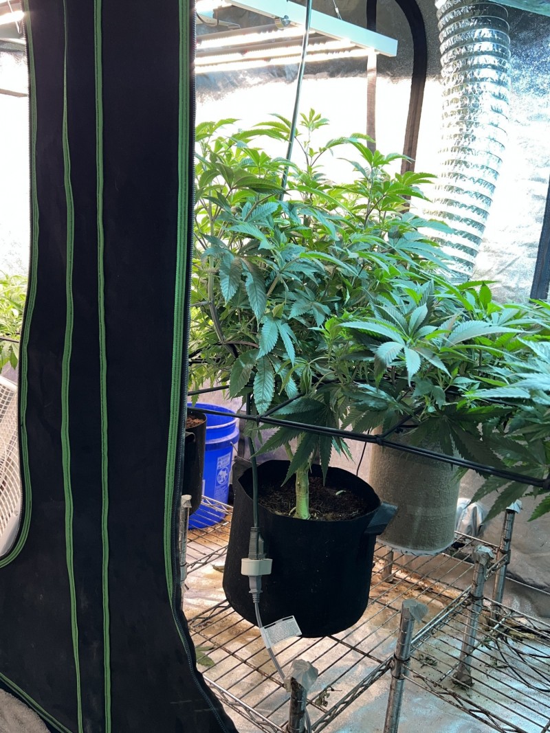 E6CD8375-BE34-442E-93B2-4F6DB61FED3E