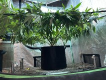 93FA29C4-D8F1-4749-845C-342E3D06FCDA