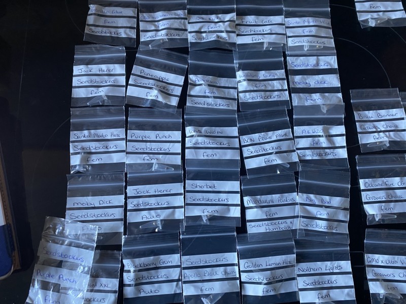 DACB2E92-2DDE-49F6-9CCB-9562BB485F7F