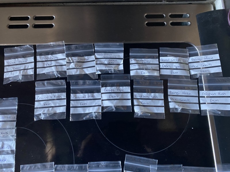 35DF39B1-5598-4B56-A4E5-1EFD6AE75713