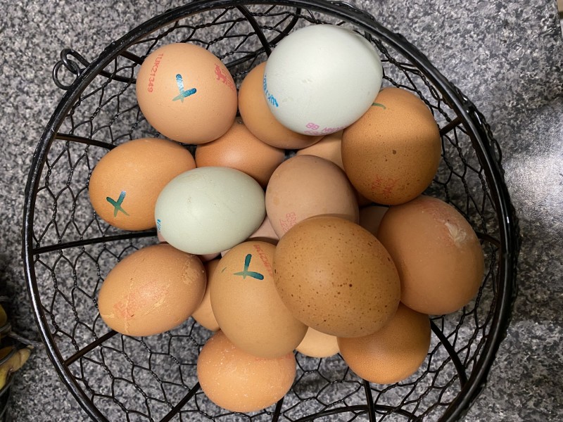 8C6AD12C-0CEB-413B-B57A-4E94EB87FADD