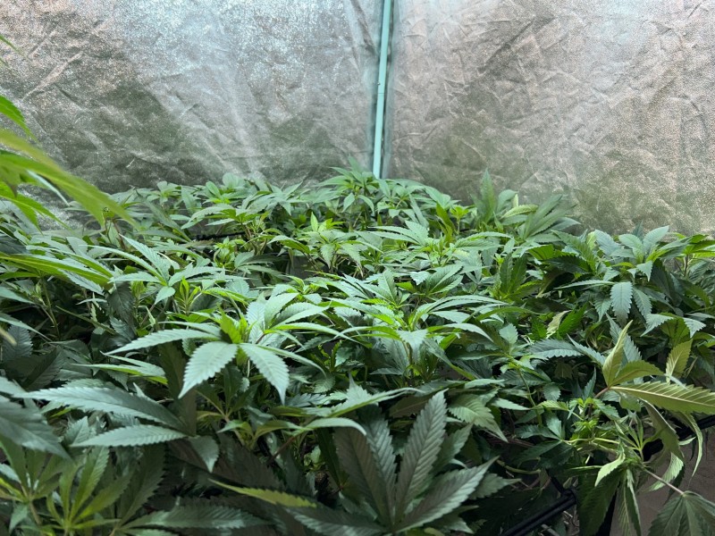 48FB131A-5B75-47E4-A3C5-E94326B46539