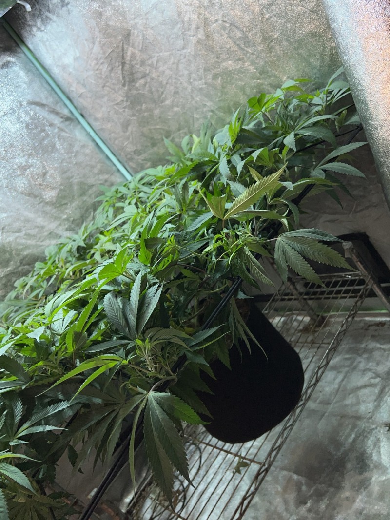 47990140-CCBD-492B-933A-B49C136504BE