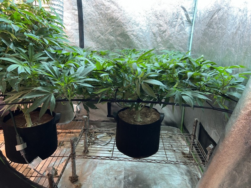 101CFC5B-280F-43F4-91A9-5C62F12CEAC7