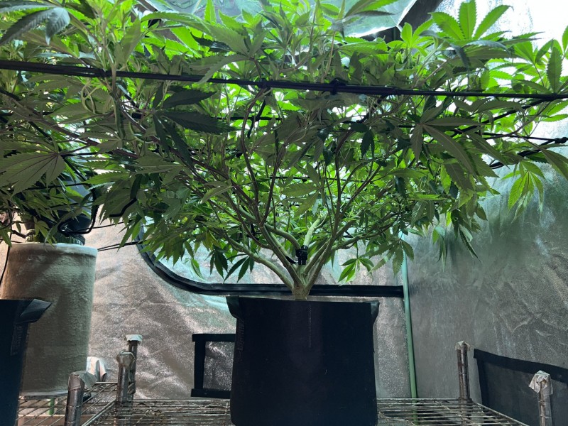 62054E74-FA85-41CD-AD9D-D2BBF43712FB